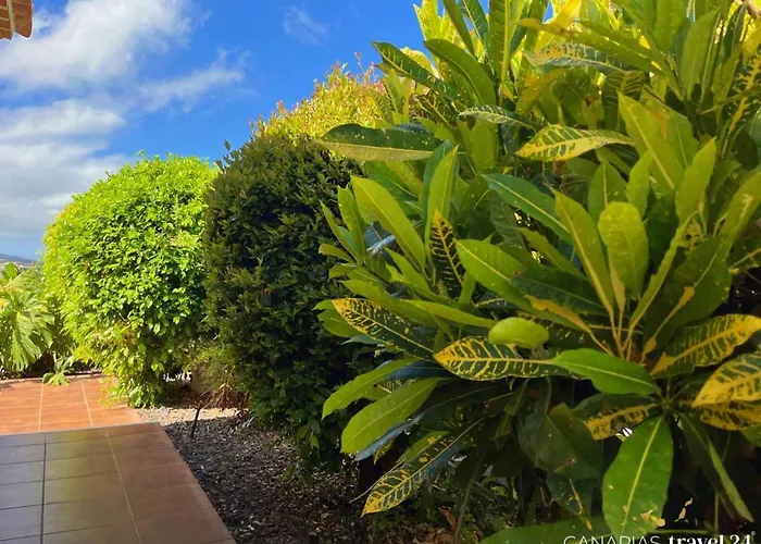 Papayeras * Лос-Льянос-де-Аридане